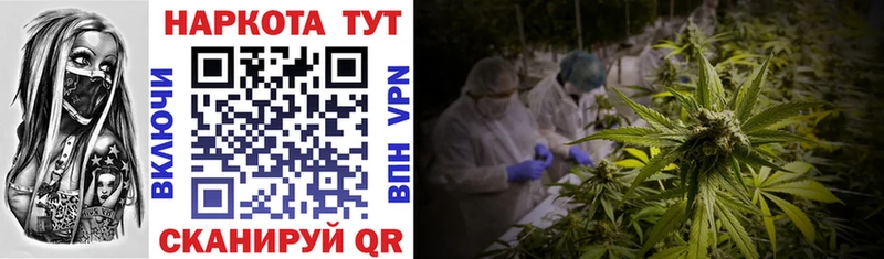 Цена Певек Псилоцибиновые грибы СОЛЬ Канабис Мефедрон Cocaine