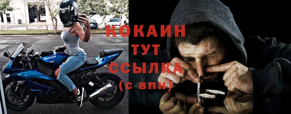 гидра Новозыбков